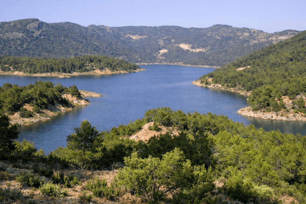 pesca Benagéber embalse Valencia