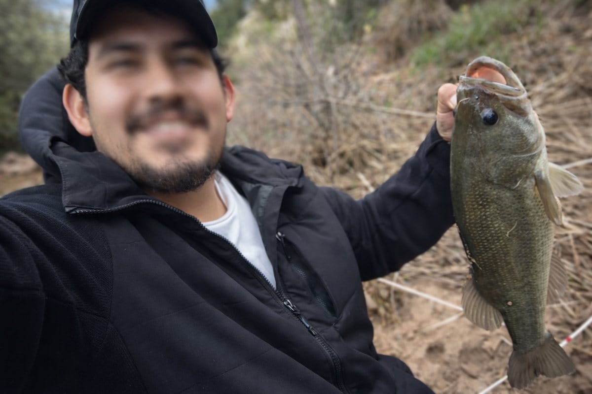 black bass capturado en el embalse de Benagéber