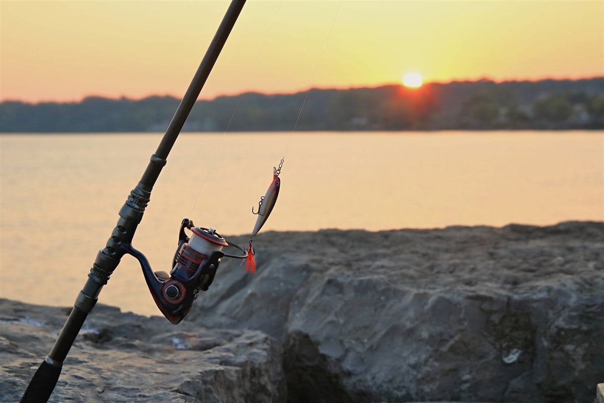 pesca al amanecer en embalse, técnica de superficie