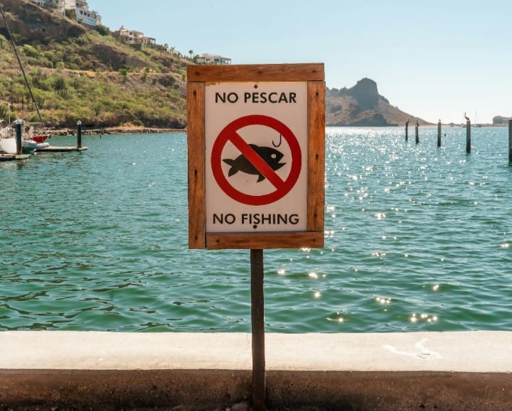 veda pesca Valencia 2026 embalse